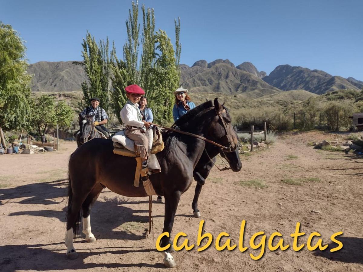 Cabana Pica Piedra Mendoza Eksteriør billede